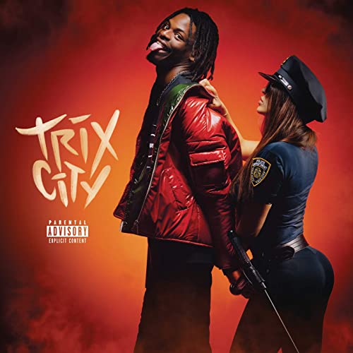 Diddi Trix - Trix City (cover)