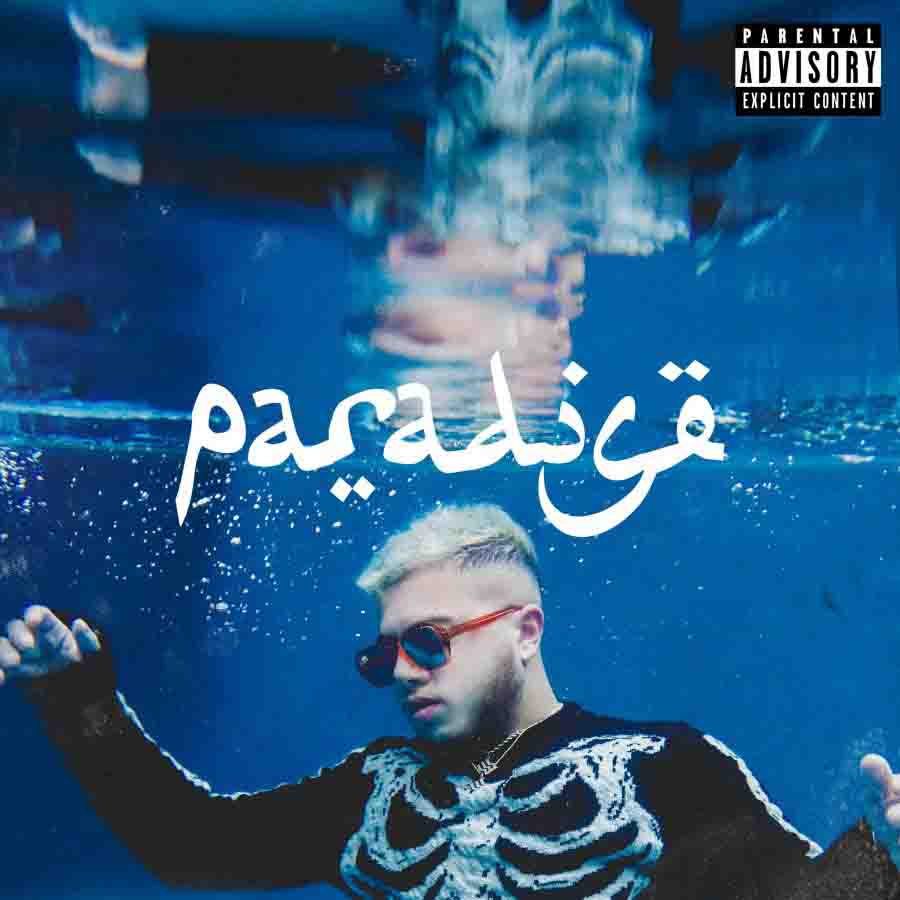 Hamza - Paradise (cover)